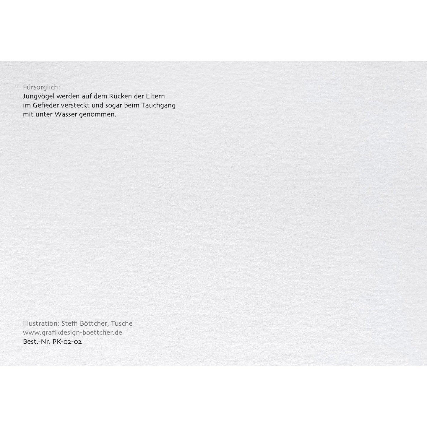 Postkarte – Haubentaucher