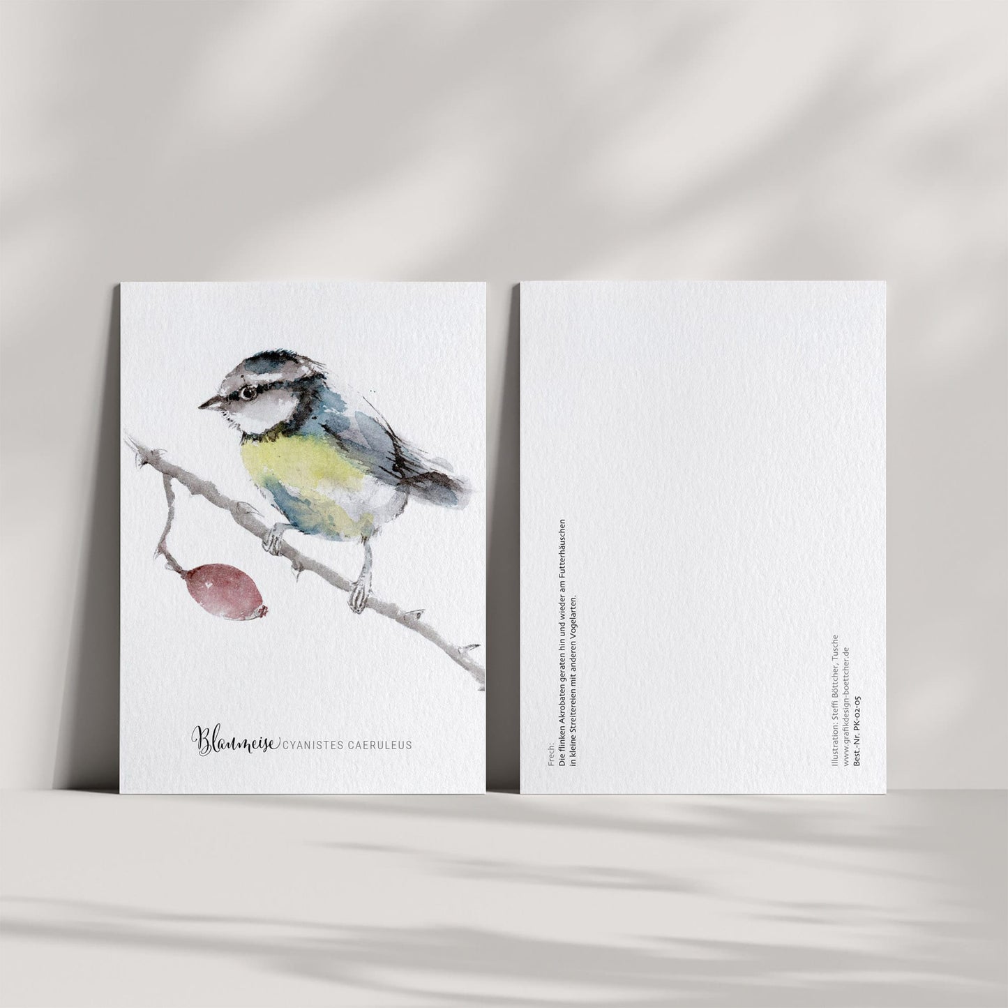 Postkarte – Blaumeise