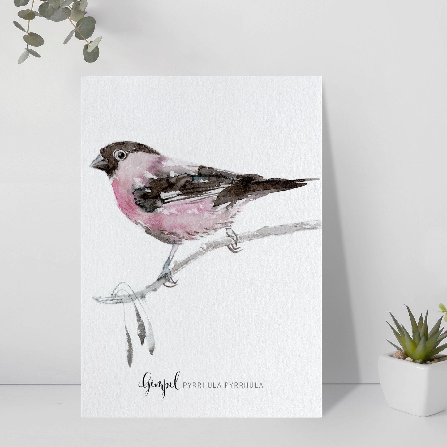 Postkarte – Gimpel