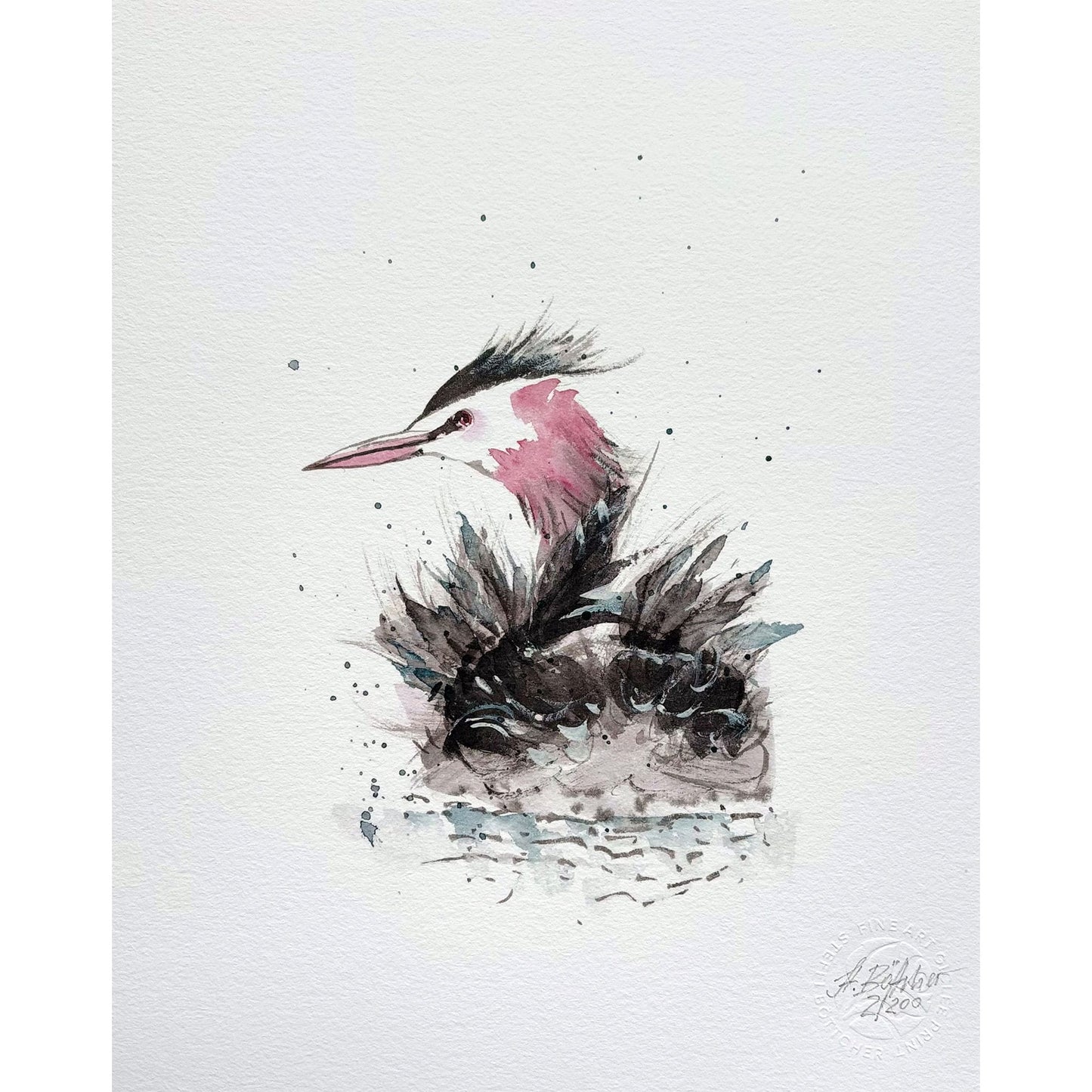 Fine Art Print – Haubentaucher