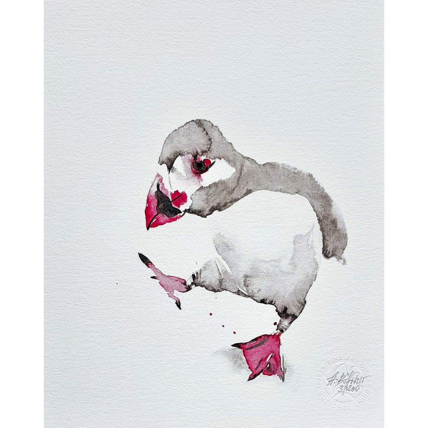 Fine Art Print – Papageitaucher