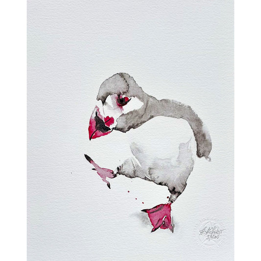 Fine Art Print – Papageitaucher
