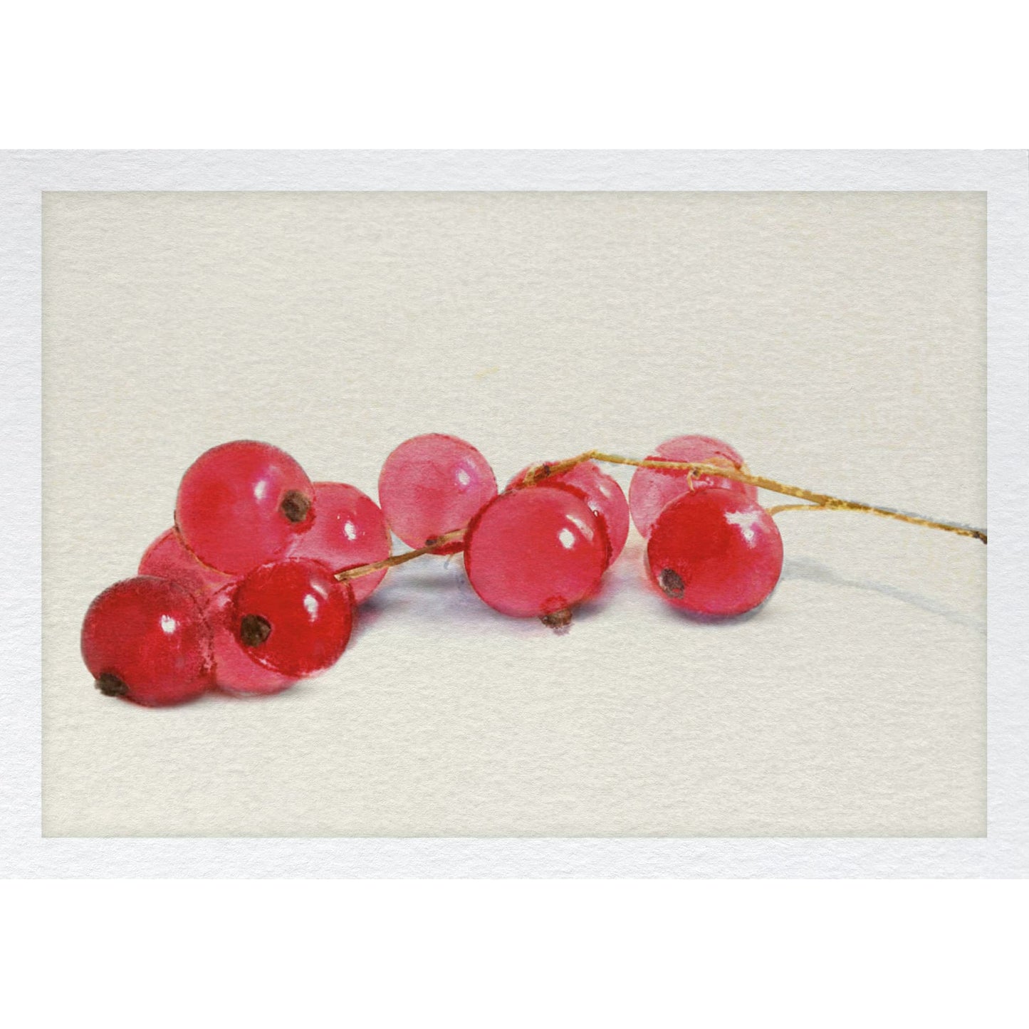 Postkarte – Johannisbeeren