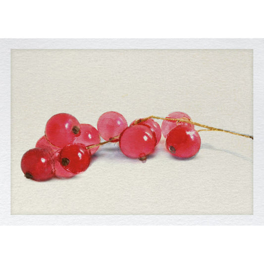 Postkarte – Johannisbeeren
