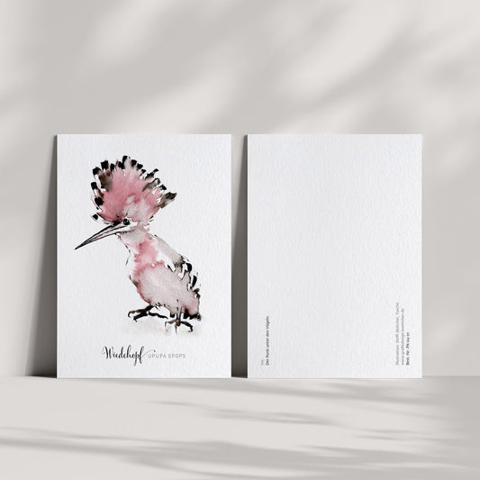 Postkarte – Wiedehopf