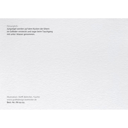 Postkarte – Haubentaucher