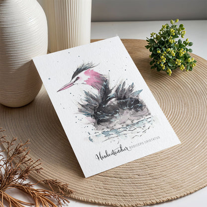 Postkarte – Haubentaucher