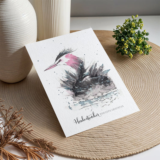 Postkarte – Haubentaucher