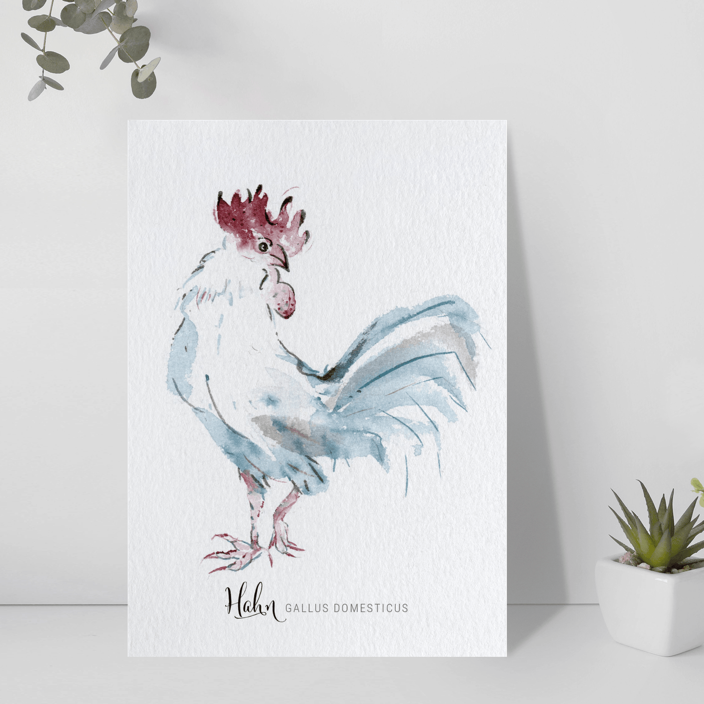 Postkarte – Hahn