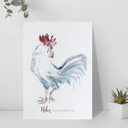 Postkarte – Hahn