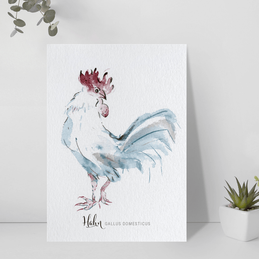 Postkarte – Hahn