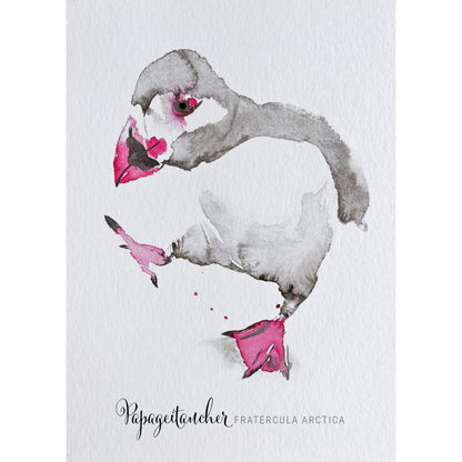 Postkarte – Papageitaucher