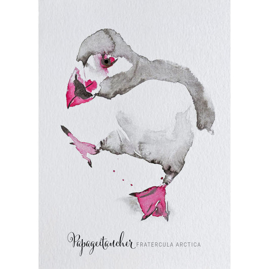 Postkarte – Papageitaucher