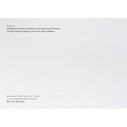 Postkarte – Papageitaucher
