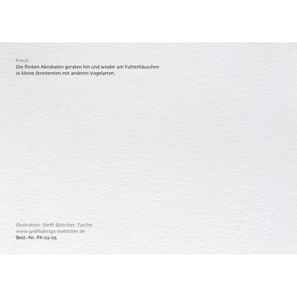 Postkarte – Blaumeise