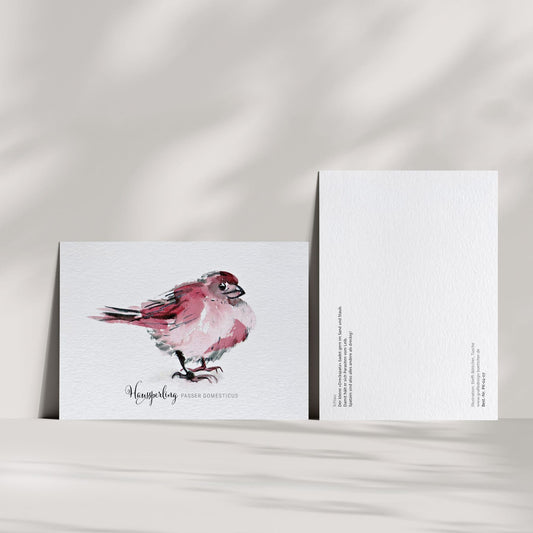 Postkarte – Haussperling