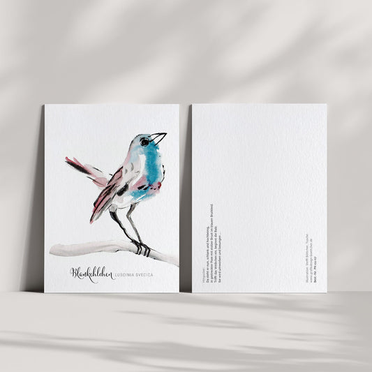 Postkarte – Blaukehlchen